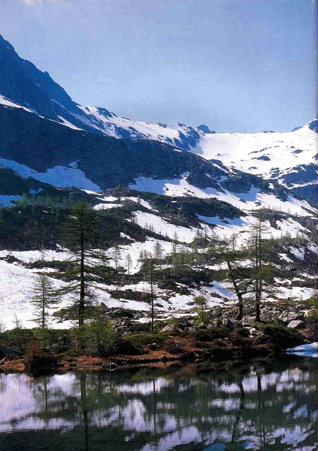 Hotel Tavernier Courmayeur Dış mekan fotoğraf