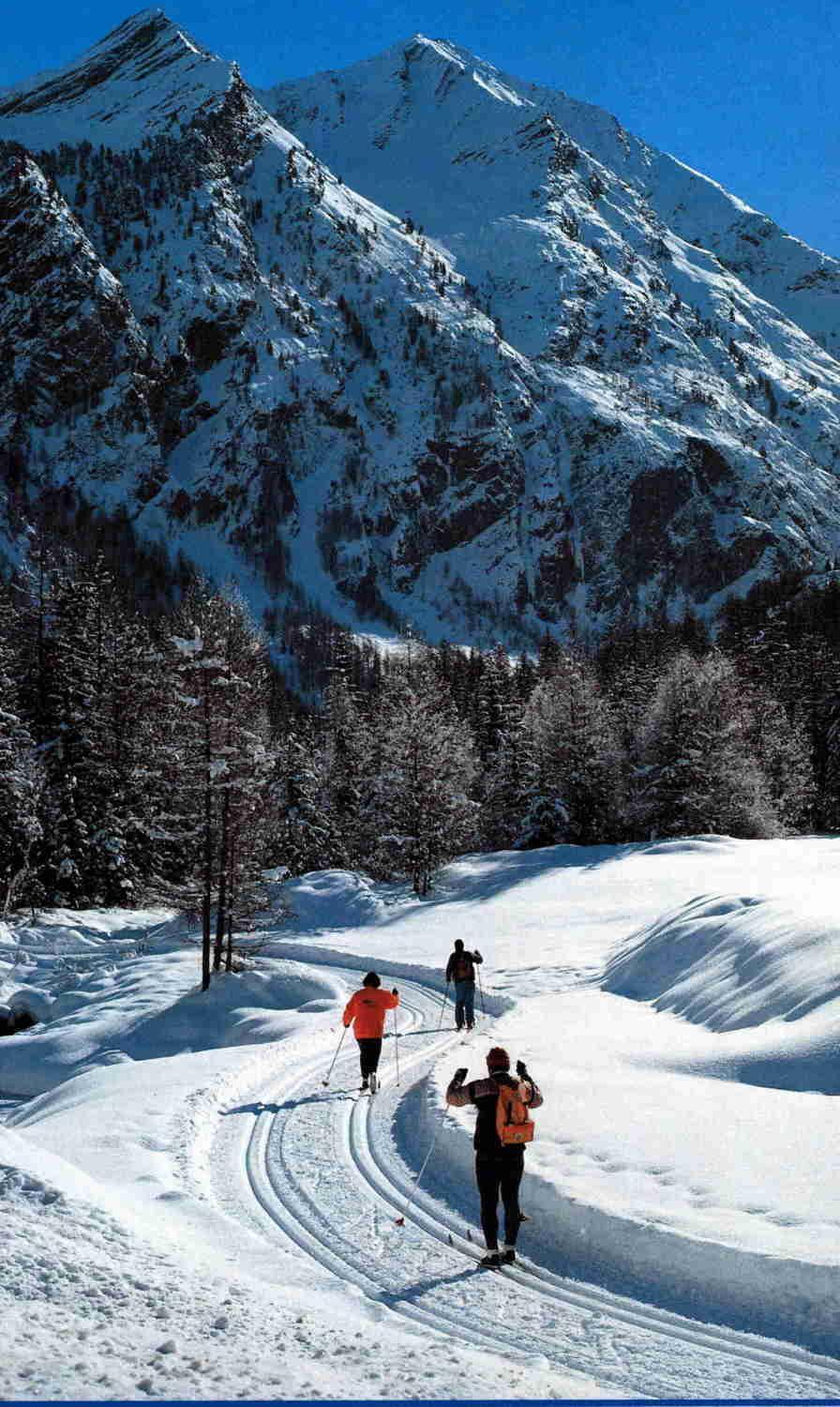 Hotel Tavernier Courmayeur Dış mekan fotoğraf